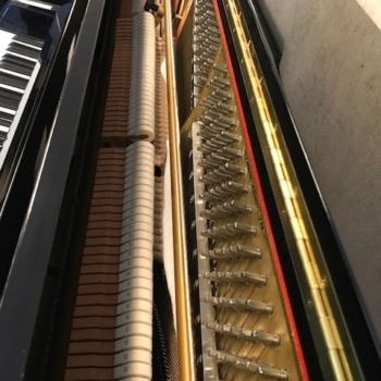 Steinway &amp; Sons&#039; Boston Professional Piano