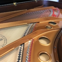STEINWAY &amp; SONS&#039; Official Piano Builder by #davespianoshowroom Tampa (7)