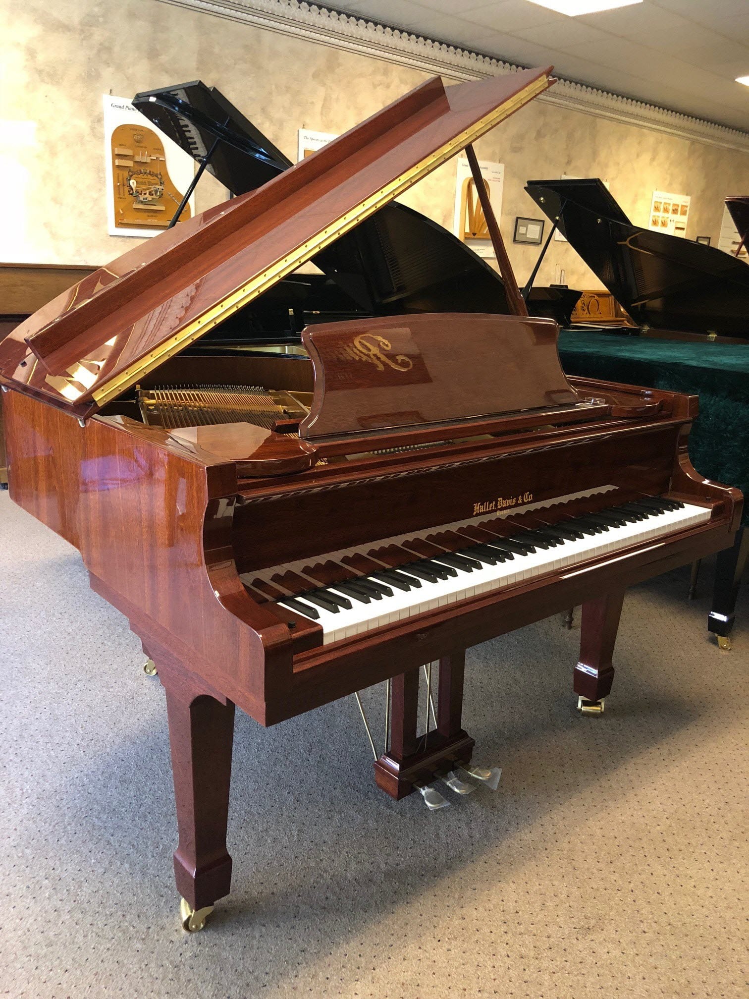 Brand NEW Hallet Davis, BOSTON Baby Grand Piano